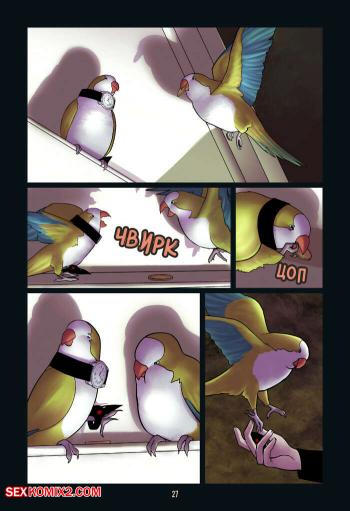 Порно комикс Без костей Часть 3. Это поздний попугай.